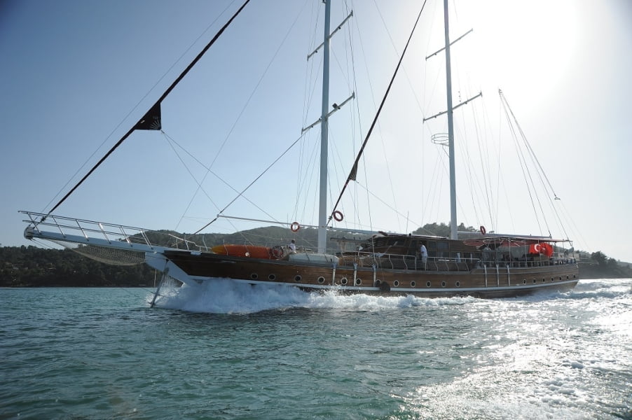 Deniz Felix Balina Gulet Turkey