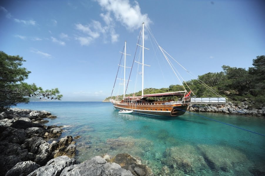 Deniz Felix Balina Gulet Turkey