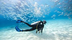 Diving Charter Turkey