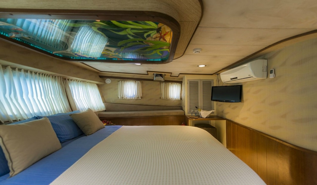 ece arina gulet caicco